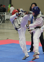 Taekwondo Action Portrait 4